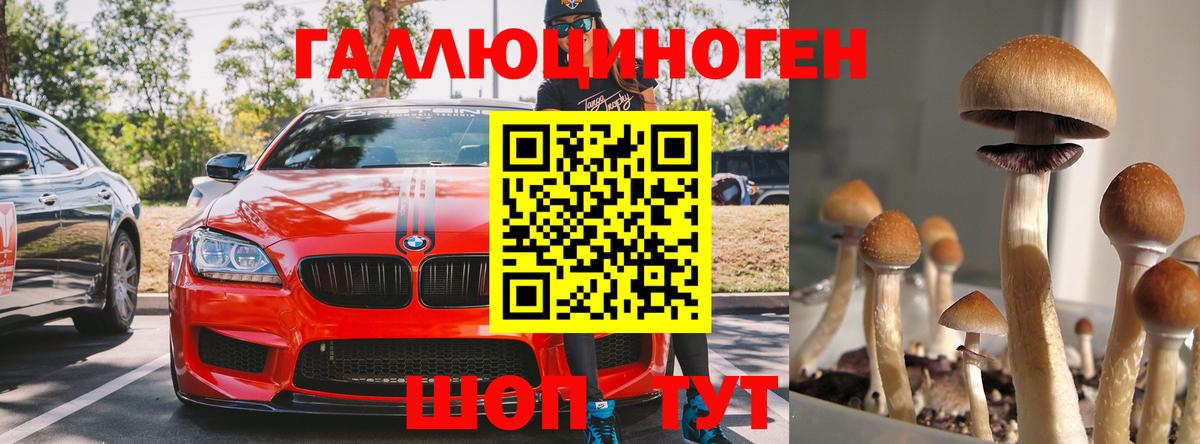 Пыть-Ях  Галлюциногенные грибы Psilocybe  Вход с VPN  Псилоцибиновые грибы Magic Shrooms 